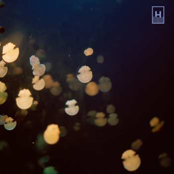 CD Dugong: The Big Other