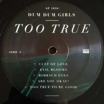 LP Dum Dum Girls: Too True