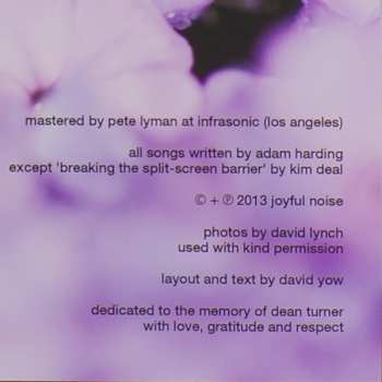 LP Dumb Numbers: Dumb Numbers