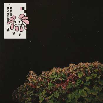 Album Dvr: tape 01 + thru the city