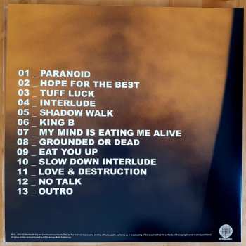 LP DZ Deathrays: R.I.F.F CLR