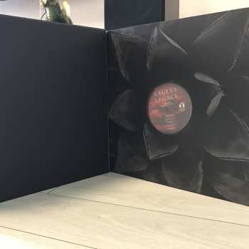 15LP/Dobozkészlet Eagles: Legacy The Eagles