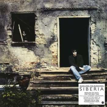 Album Echo & The Bunnymen: Siberia