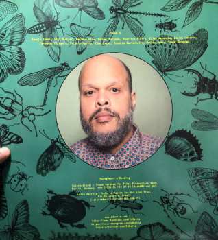LP Ed Motta: Criterion Of The Senses