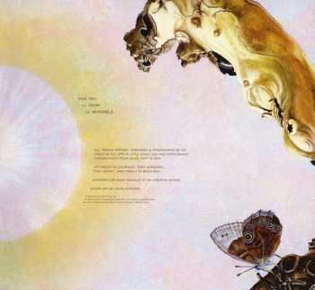 LP Ed Wynne: Shimmer Into Nature
