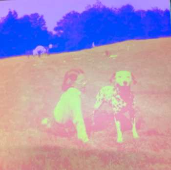 3LP/Dobozkészlet Eels: Blinking Lights And Other Revelations CLR | LTD