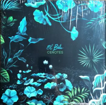 El Buho: Cenotes