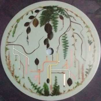LP El Buho: Tributaries Vol. 2