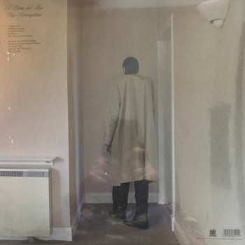 LP El Perro Del Mar: Big Anonymous