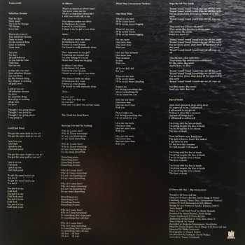 LP El Perro Del Mar: Big Anonymous