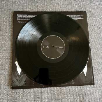 LP Elefantes: La Forma de Mover Tus Manos