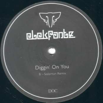 LP Elekfantz: Diggin' On You