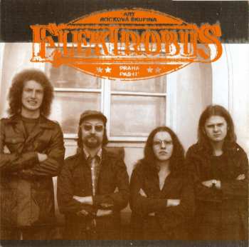 CD Elektrobus: Nedefinitivní