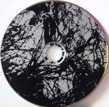 2CD Eleventh Dream Day: Prairie School Freakout + Wayne EP