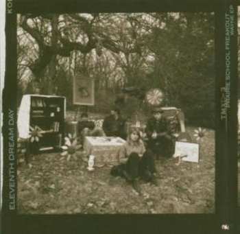 2CD Eleventh Dream Day: Prairie School Freakout + Wayne EP