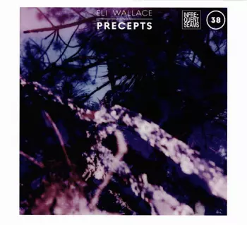 Eli Wallace: Precepts