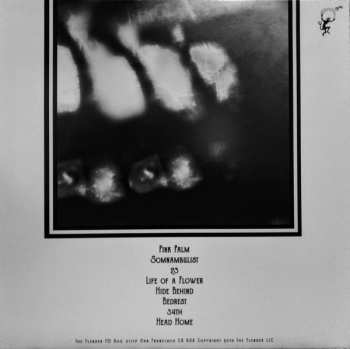 LP Elizabeth Colour Wheel: Nocebo