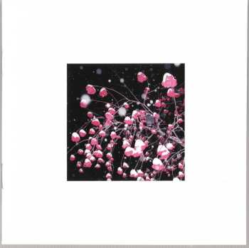 CD Elliot Maginot: Young/Old/Everything.In.Between DIGI