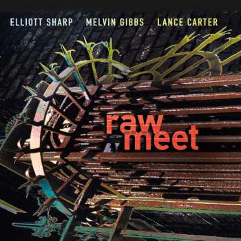 Album Elliott Sharp: Raw Meet