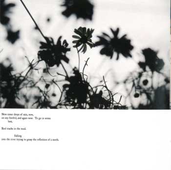 CD Eluvium: Talk Amongst The Trees