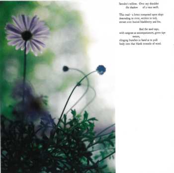 CD Eluvium: Talk Amongst The Trees