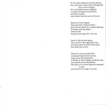 CD Eluvium: Talk Amongst The Trees