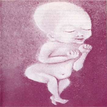 CD Embryo: Ni Hau DIGI