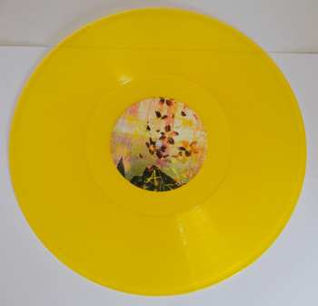 LP Emma Pollock: Begging The Night To Take Hold CLR