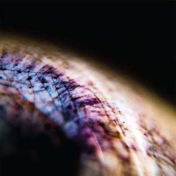 Album Emptyset: Skin