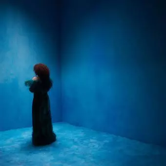 Enchantée Julia: Onze