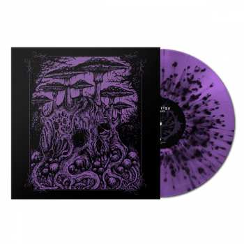 Album Vanhelga: Enfin Morte