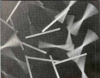 CD Enno Poppe: #36 | Fett / Ich Kann Mich An Nichts Erinnern