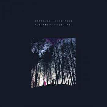 Album Ensemble Economique: Radiate Through You