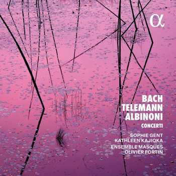 Album Ensemble Masques / Albinoni: Bach Telemann & Albinoni: Concerti