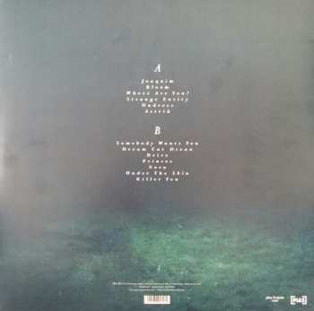 LP Oscar And The Wolf: Entity LTD | CLR