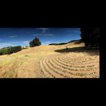 LP Eric Johnson: EJ Vol. II