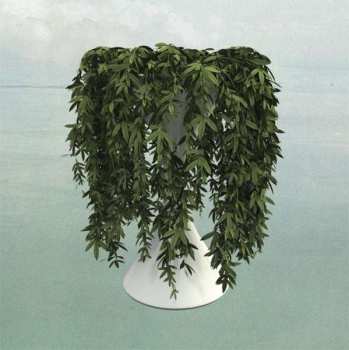 CD Errors: Lease Of Life