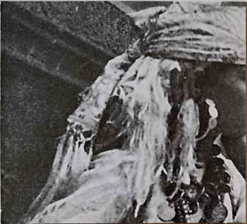 CD Esplendor Geométrico: Sheikh Aljama