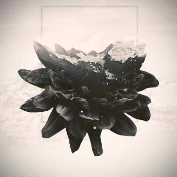 Album Eternal Void: Catharsis