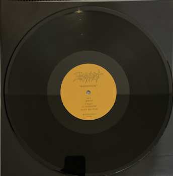 LP Eucharist: Mirrorworlds