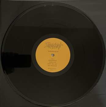 LP Eucharist: Mirrorworlds