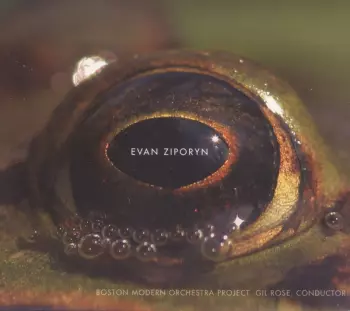 Frog's Eye