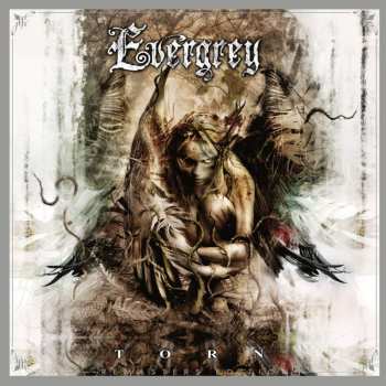 CD Evergrey: Torn DIGI