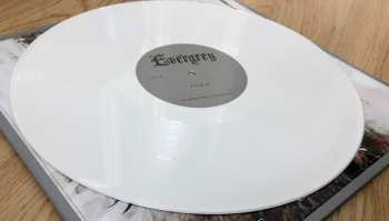 2LP Evergrey: Torn LTD | CLR