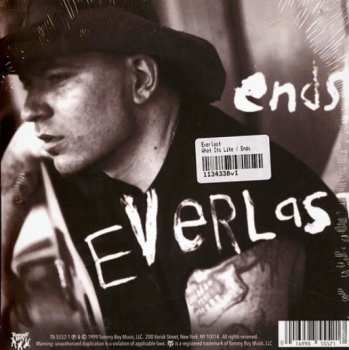 SP Everlast: What It's Like / Ends