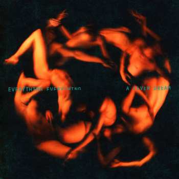 Album Everything Everything: A Fever Dream