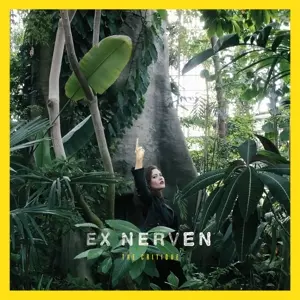 Ex Nerven: Critique