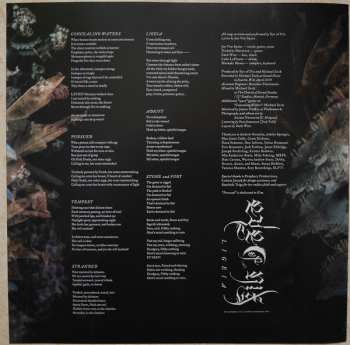 LP Eye Of Nix: Ligeia LTD | CLR