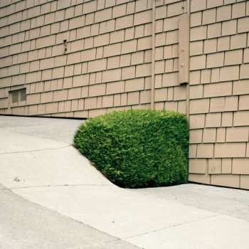 LP Ezra Feinberg: Soft Power