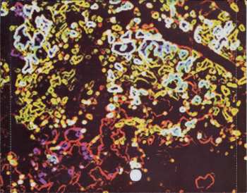 CD Ezra Weiss: Persephone